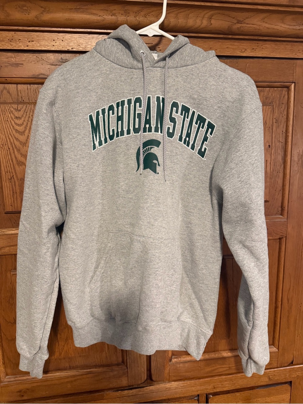 NWOT Champion Michigan State Spartans Gray Pullover Hoodie Adult Small